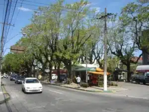 avenida-bento-goncalves-canteiro-da-avenida-bento-em-pelotas