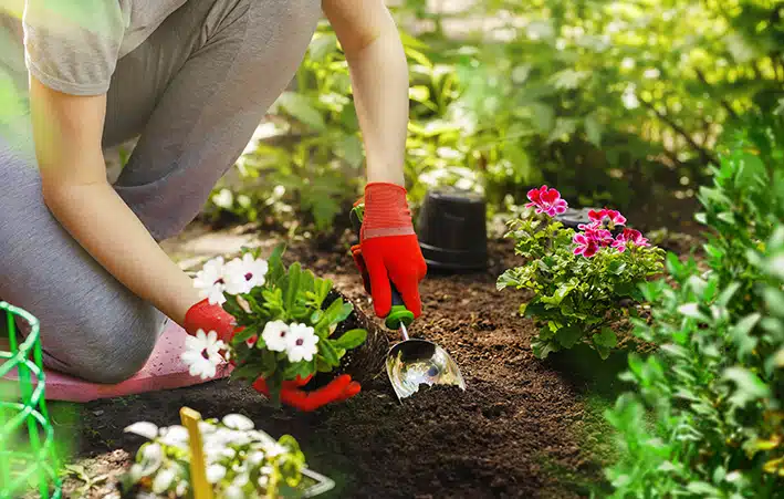 pessoa com luvas vermelhas plantando flores