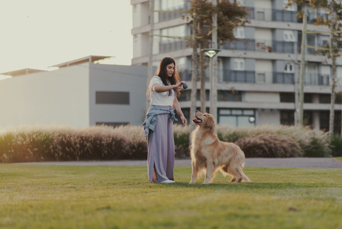 parque-una-mulher-jovem-brincando-com-cachorro-na-grama-do-parque-una