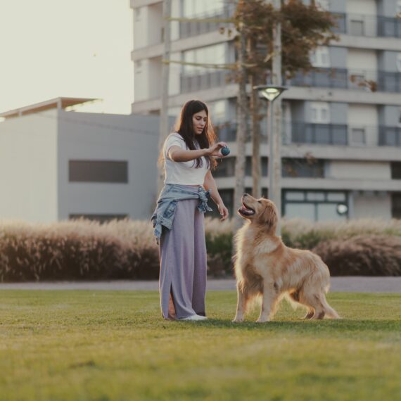 parque-una-mulher-jovem-brincando-com-cachorro-na-grama-do-parque-una