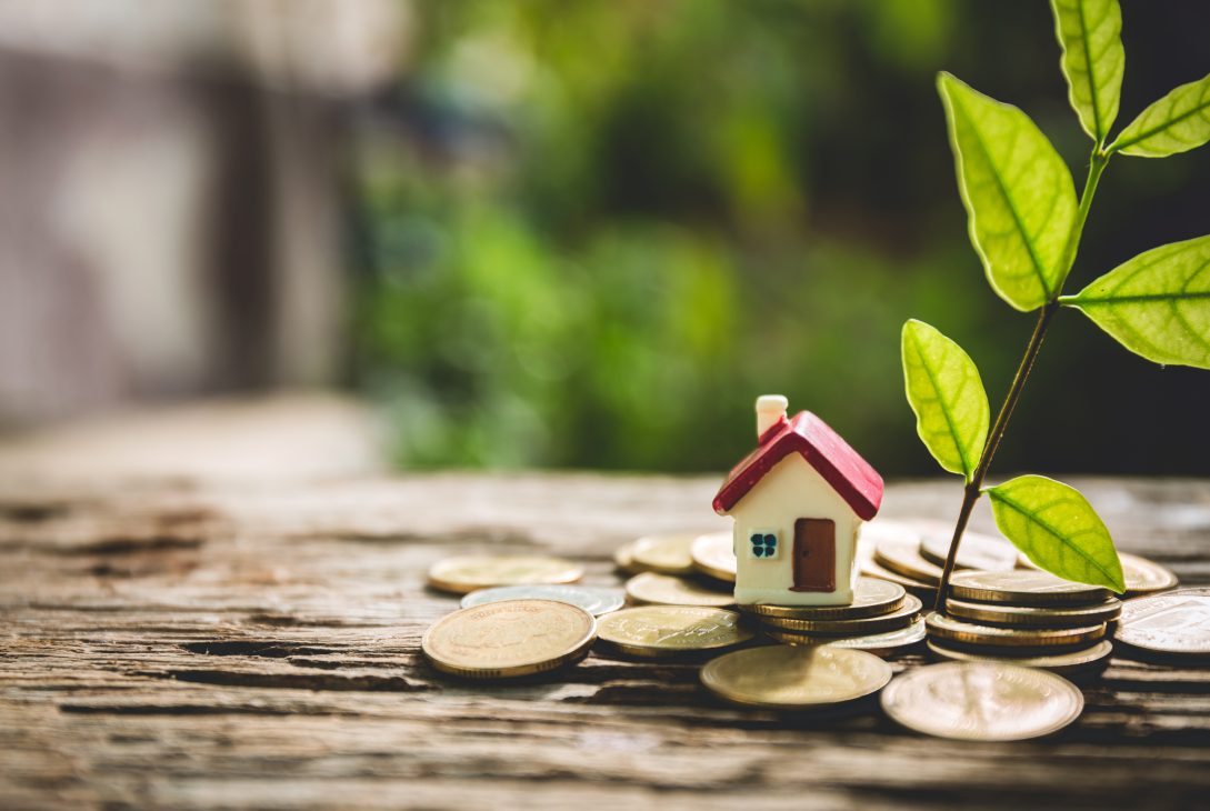 Miniatura de casa e muda de planta sobre pilhas de moedas em superfície de madeira.