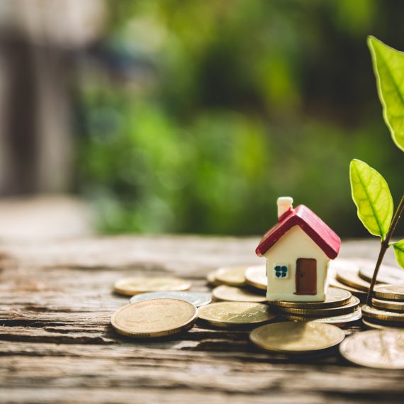 Miniatura de casa e muda de planta sobre pilhas de moedas em superfície de madeira.