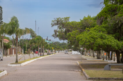 Rua arborizada e tranquila com calçamento de blocos, palmeiras ao centro e árvores frondosas nas calçadas, com poucos carros estacionados e céu limpo.