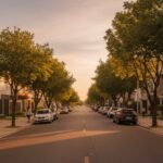 Rua residencial arborizada com casas e prédios baixos ao pôr do sol, com carros estacionados.